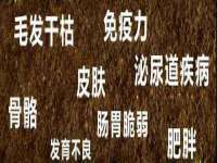 宁夏博强机电设备有限公司