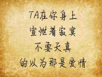 宁夏博强机电设备有限公司
