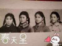 宁夏博强机电设备有限公司