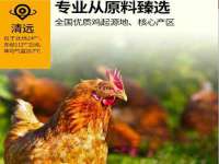 宁夏博强机电设备有限公司