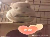 宁夏博强机电设备有限公司