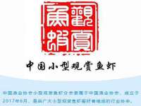 宁夏博强机电设备有限公司