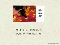 宁夏博强机电设备有限公司