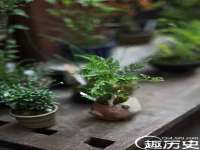 宁夏博强机电设备有限公司