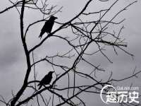 宁夏博强机电设备有限公司