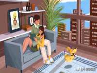 宁夏博强机电设备有限公司