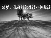 宁夏博强机电设备有限公司