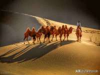 宁夏博强机电设备有限公司