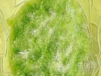 宁夏博强机电设备有限公司