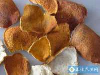 宁夏博强机电设备有限公司