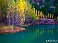 宁夏博强机电设备有限公司