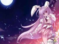 宁夏博强机电设备有限公司