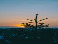宁夏博强机电设备有限公司