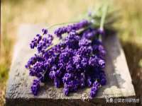 宁夏博强机电设备有限公司
