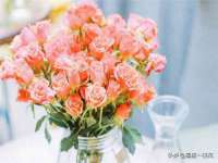 宁夏博强机电设备有限公司