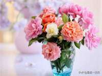 宁夏博强机电设备有限公司