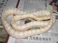 宁夏博强机电设备有限公司