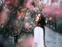 宁夏博强机电设备有限公司