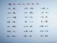 宁夏博强机电设备有限公司